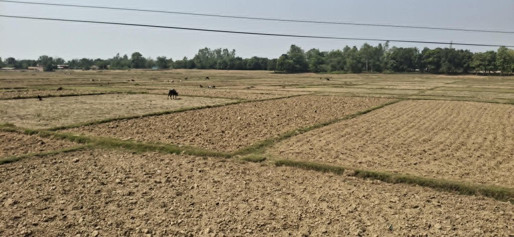 बाँके जिल्लामा खेतका फाँट अझै धुलाम्मे